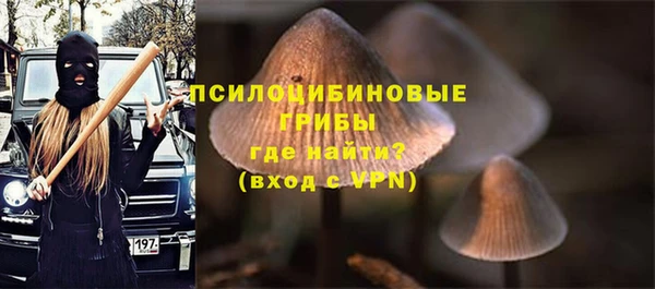 соль ск Елабуга