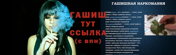 соль ск Елабуга