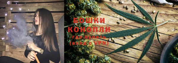 ешки Ельня