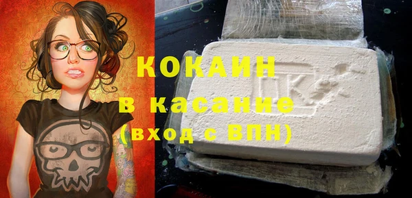ешки Ельня