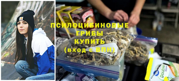 apvp Елизово