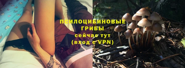 ешки Ельня