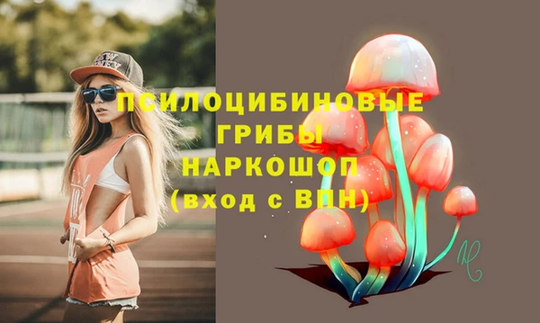 соль ск Елабуга