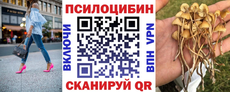 Псилоцибиновые грибы Magic Shrooms  Купить  Альметьевск 